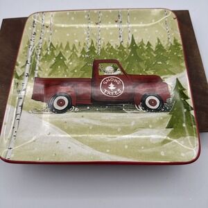 Karen Cruden Christmas Vacation Park Designs Christmas Plate Snow's Trees NWT